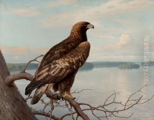 Golden Eagle by a Lake - view 1