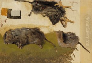 Rodents by Ferdinand von Wright