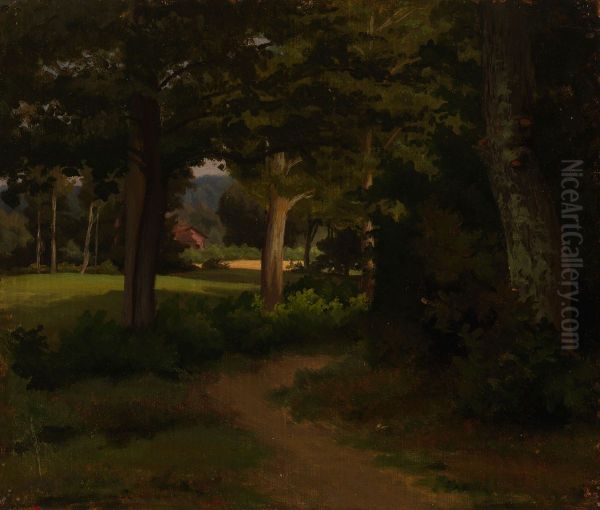 Metsapolku, maisemaharjoitelma - view 1