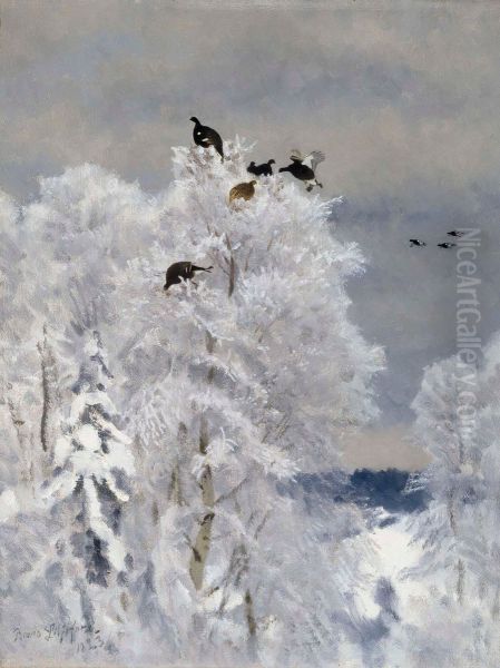 Black Grouse in a Treetop - view 1