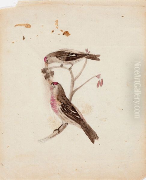 Two Redpolls - view 1