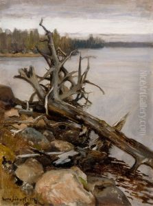 Strand med ilanddriven torr fure