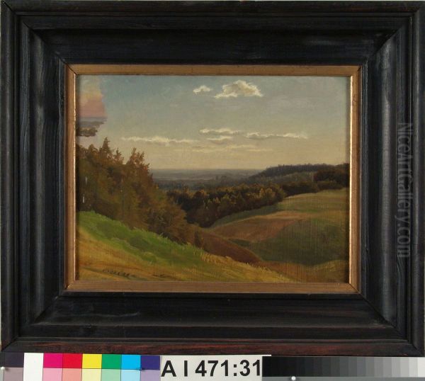 Laaja nakoala, harjoitelma - view 1