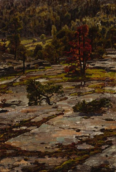 From the Hills of Knutsboda - view 1