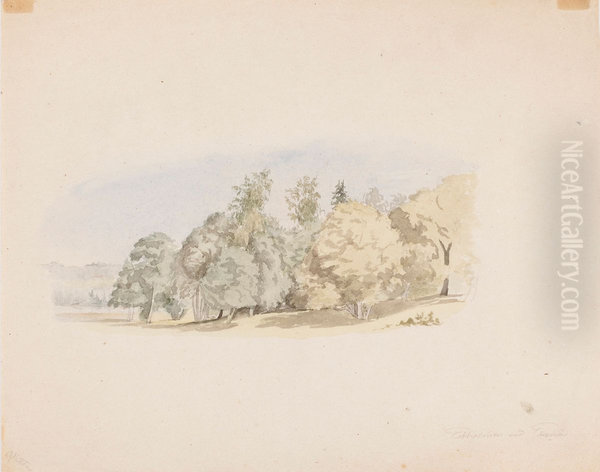 Summer Landscape from Estholmen, near Tammisaari - view 1