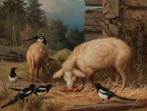 Pigs and Magpies