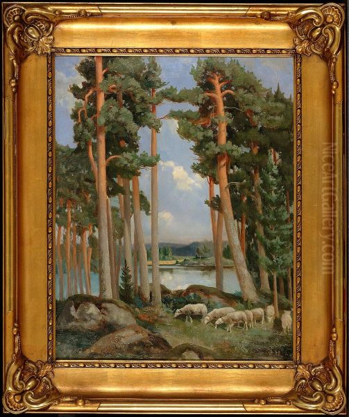 Lampaita hongikossa - view 1
