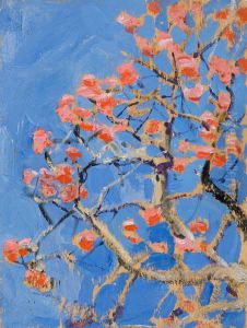 Coral tree in blossom Coral tree in blossom