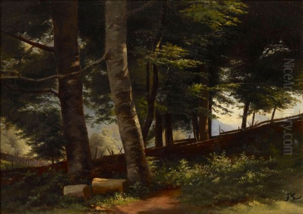 Inside the Forest - view 1