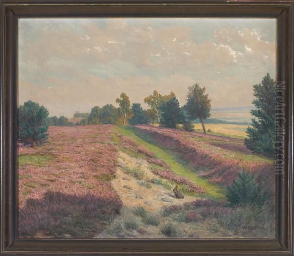 Hase In Weiter Heidelandschaft - view 1