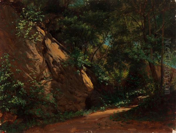 Landscape Study - view 1