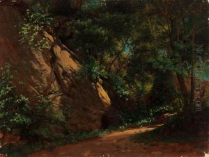 Landscape Study by Nils Blommer
