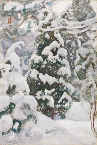 Juniper Tree in Snow - view 1