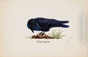 Tame Raven "Judas" by Ferdinand von Wright