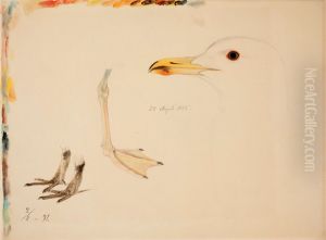 Three Bird Legs and Common Gull by Ferdinand von Wright