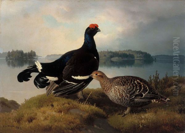 Black Grouse, Cock and Hen - view 1