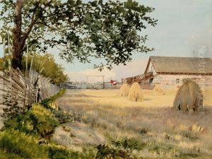 The Finnish Landscape