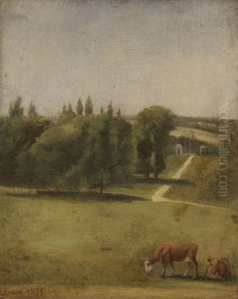 Landscape - view 1