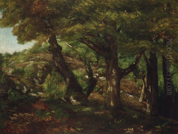 The Fringe of the Forest - view 1