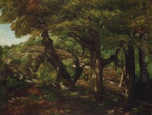 The Fringe of the Forest