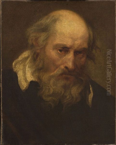Studiekop van een oude man - view 1