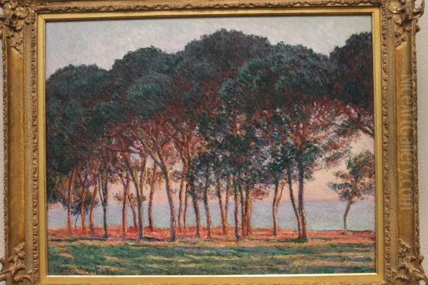 Under the Pines, Evening - view 1