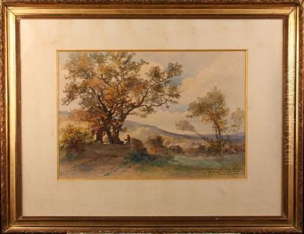 Paysage Anime - view 1