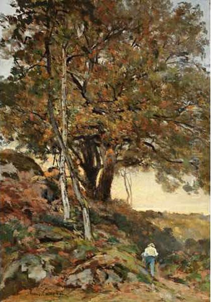 Theophile < Foret Defontainebleau - view 1