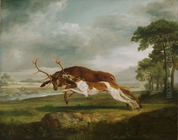 Hound Coursing a Stag - view 1