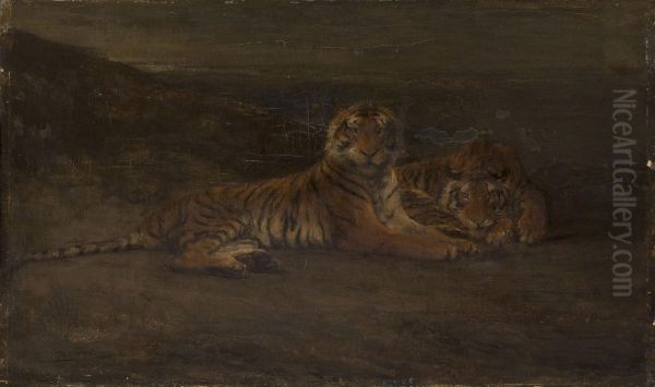 Tigers - view 1