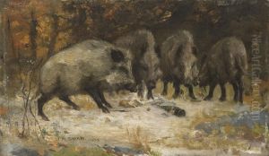 Wild Boars by John Macallan Swan