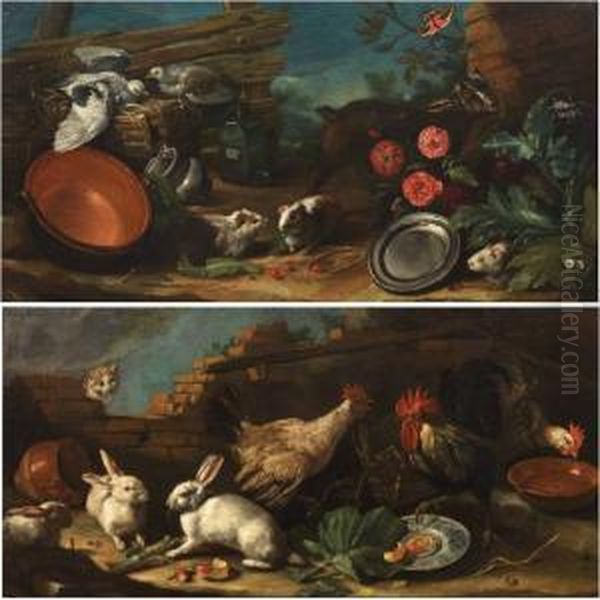 Gallinacei E Conigli Rimirati Da Un Gatto
Porcellini D'india, Capretta E Piccioni Novelli - view 1