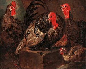 Aves De Corral by Giovanni Agostino Cassana