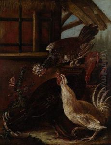 Aves De Corral by Giovanni Agostino Cassana