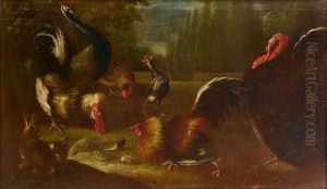 A Turkey
