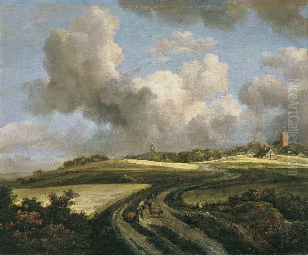 Weg door korenvelden in de buurt van de Zuiderzee - view 1