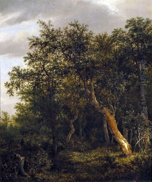 Entrance to a Wood - view 1