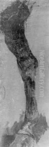 Study of a Horse's Leg by Thomas Cowperthwait Eakins