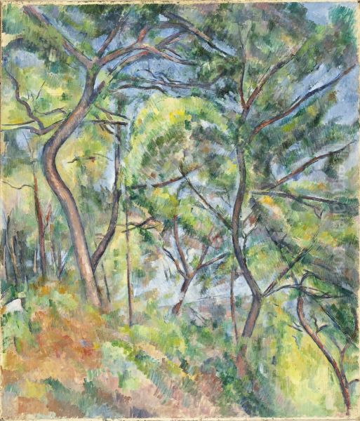 Undergrowth - view 1