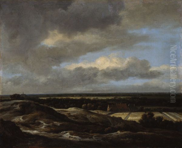 Haarlem seen from the dunes to the northwest - view 1