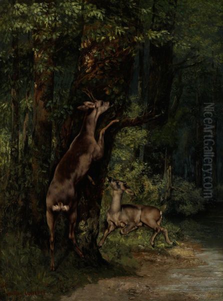 Deer in the Forest - view 1