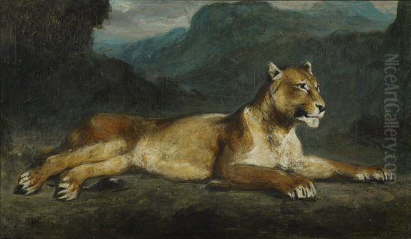 Lioness Reclining - view 1