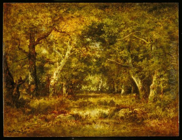 Autumn, Forest Interior - view 1