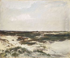 The Dunes at Camiers The Dunes at Camiers