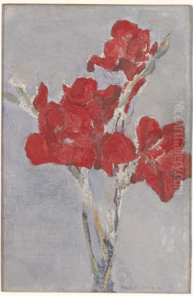 Red Gladioli - view 1