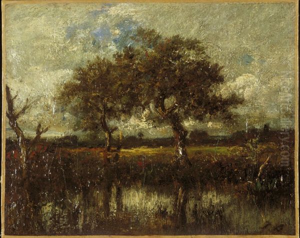 Untitled (Landscape) - view 1