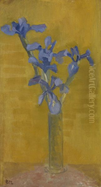 Irises - view 1
