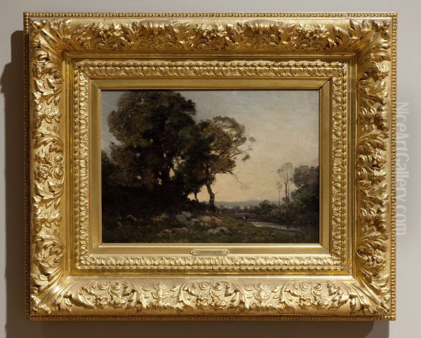 Trees to the Left of a Stream - view 1