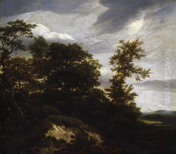 Wooded Dune Landscape - view 1