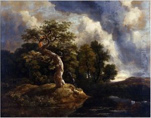 The Gnarled Oak by Jacob Van Ruisdael
